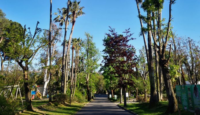 zoo di napoli